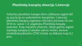 Energetinis augalas pluoštinė kanapė 9 puslapis