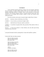 Renginio planas: tėvo diena 2 puslapis