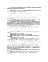 Renginio planas: Užgavėnės 2 puslapis