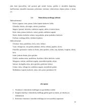 Vitaminų ir mineralinių medžiagų svarba organizmui 9 puslapis