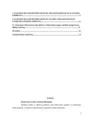 Elektros ir elektroninės įrangos, smulkios įrangos bei jos atliekų tvarkymo teisiniai aspektai 2 puslapis