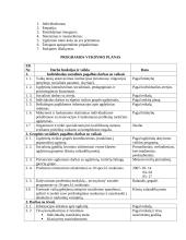 Socialinio pedagogo veiklos programa 2 puslapis