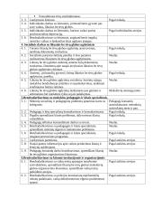 Socialinio pedagogo veiklos programa 3 puslapis