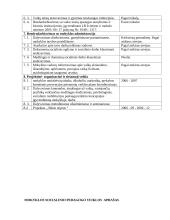 Socialinio pedagogo veiklos programa 4 puslapis