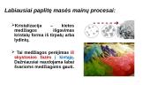 Masės mainų procesai. Absorbcija 12 puslapis