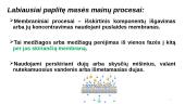 Masės mainų procesai. Absorbcija 13 puslapis