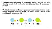 Masės mainų procesai. Absorbcija 17 puslapis