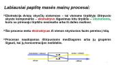 Masės mainų procesai. Absorbcija 7 puslapis