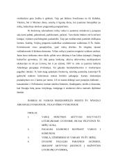 Tikybos pamokos planas 16 puslapis