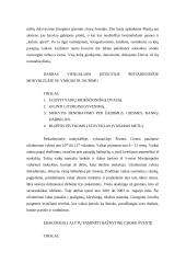 Tikybos pamokos planas 19 puslapis