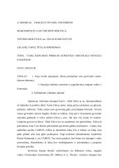 Tikybos pamokos planas 5 puslapis