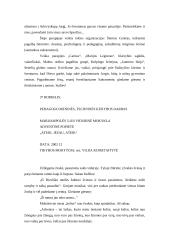 Tikybos pamokos planas 9 puslapis