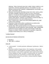 Biliūnas: kontekstai ir kūrinių analizės 13 puslapis