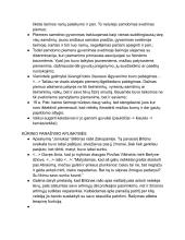 Biliūnas: kontekstai ir kūrinių analizės 5 puslapis