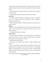 Tikybos popamokinio renginio išplėstinis planas 3 puslapis