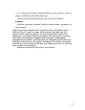 Tikybos popamokinio renginio išplėstinis planas 4 puslapis