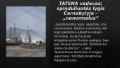 Savaites naujienos 4 puslapis