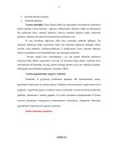 Tyrimo planas: transporto ir ryšių sektorių paslaugų poreikis 6 puslapis