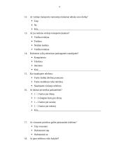 Tyrimo planas: transporto ir ryšių sektorių paslaugų poreikis 9 puslapis