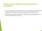 Metalų korozija bei apsauga nuo korozijos  16 puslapis