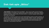 „The Beatles“ (lietuviškai žinomi kaip Bitlai) 2 puslapis