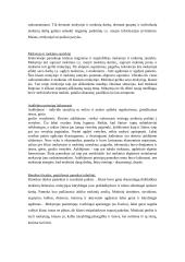 Ugdomoji pamokos analizė - istorija 5-ai klasei 7 puslapis