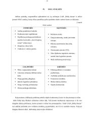 Praktikos ataskaita įmonėje UAB "Biržų duona" 15 puslapis