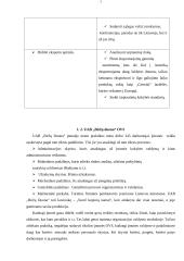 Praktikos ataskaita įmonėje UAB "Biržų duona" 7 puslapis