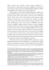 Nuotolinio darbo ypatumai 12 puslapis