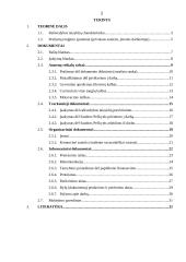 Veiklos dokumentas: AB "Stiklita" 2 puslapis