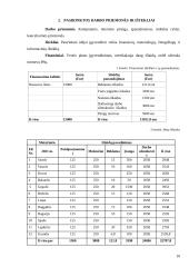 Virtualus asmeninis asistentas: Best your assistent (BYA) 11 puslapis