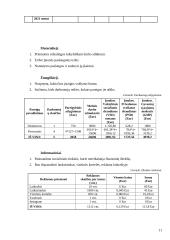 Virtualus asmeninis asistentas: Best your assistent (BYA) 12 puslapis