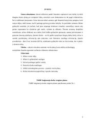 Virtualus asmeninis asistentas: Best your assistent (BYA) 5 puslapis