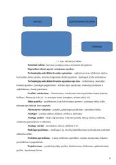 Virtualus asmeninis asistentas: Best your assistent (BYA) 7 puslapis