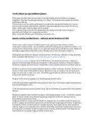 Verslo idėja: kaimo turizmo sodyba 2 puslapis