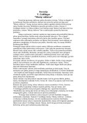 "Musių valdovo" analizė