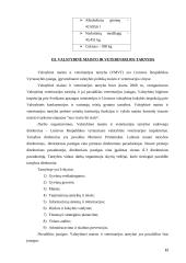 Valstybės institucijų, atliekančIų tikrinimą, veikla 12 puslapis