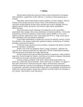 Verslo planas: medienos pervežimas UAB "Meduva" 16 puslapis