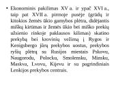 Sausumos kelių formavimas Lietuvos teritorijoje XIV-XVIII a. 6 puslapis