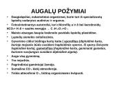 Augalų karalystė 2 puslapis