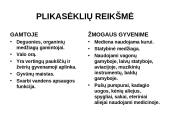 Augalų karalystė 11 puslapis
