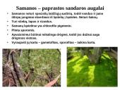 Augalų karalystė 5 puslapis