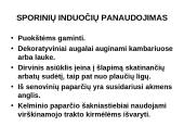 Augalų karalystė 8 puslapis