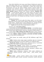 Konspektas teisės koliui 14 puslapis