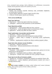 Konspektas teisės koliui 15 puslapis