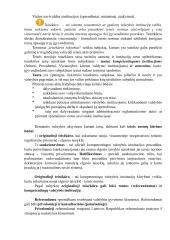 Konspektas teisės koliui 19 puslapis