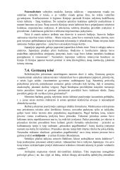 Konspektas teisės koliui 5 puslapis