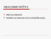 Darbuotojų draudimas Lietuvoje, draudimo rūšys 5 puslapis