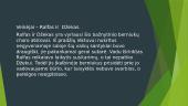 Musių valdovas 4 puslapis