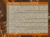 Finansinės jėgos 8 puslapis
